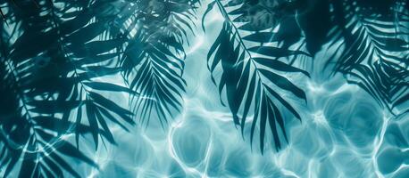 ein belaubt Grün Palme Baum ist reflektiert im das Wasser foto