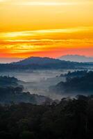 das atemberaubend Aussicht von ein Touristen Standpunkt wie Sie gehen Nieder ein Hügel auf ein nebelig Weg mit ein Hügel und ein Hintergrund von ein golden Himmel im Wald Park, Thailand. Regenwald. Vogel Auge Sicht. Antenne Sicht. foto