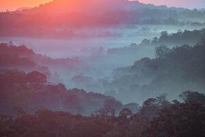 das atemberaubend Aussicht von ein Touristen Standpunkt wie Sie gehen Nieder ein Hügel auf ein nebelig Weg mit ein Hügel und ein Hintergrund von ein golden Himmel im Wald Park, Thailand. Regenwald. Vogel Auge Sicht. Antenne Sicht. foto