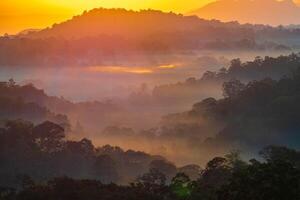 das atemberaubend Aussicht von ein Touristen Standpunkt wie Sie gehen Nieder ein Hügel auf ein nebelig Weg mit ein Hügel und ein Hintergrund von ein golden Himmel im Wald Park, Thailand. Regenwald. Vogel Auge Sicht. Antenne Sicht. foto