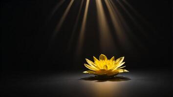 ein Strahl von Sonnenlicht scheint auf ein Gelb Lotus, ein Blume, Hoffnung, auf ein vollständig schwarz Hintergrund foto