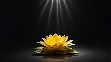 ein Strahl von Sonnenlicht scheint auf ein Gelb Lotus, ein Blume, Hoffnung, auf ein vollständig schwarz Hintergrund foto