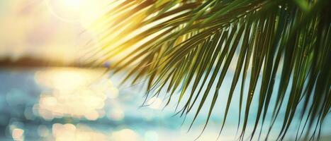 schön verschwommen Grün Palme Blatt auf ein tropisch Strand mit ein abstrakt Hintergrund von Sonne Licht Wellen. foto