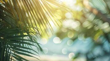 schön verschwommen Grün Palme Blatt auf ein tropisch Strand mit ein abstrakt Hintergrund von Sonne Licht Wellen. foto