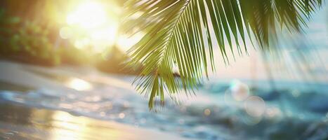 schön verschwommen Grün Palme Blatt auf ein tropisch Strand mit ein abstrakt Hintergrund von Sonne Licht Wellen. foto