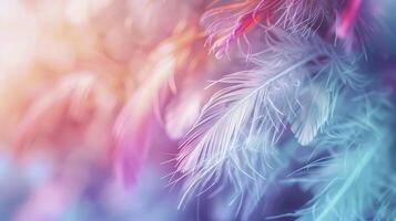 bunt Pastell- Hintergrund mit Sanft Gefieder im sanft Farben, verträumt und ätherisch, verschwommen Hintergrund zum Kopieren Raum. abstrakt Natur Konzept. foto