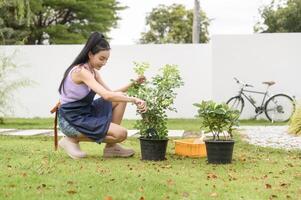 jung asiatisch Frau Pflanzen Baum im das Garten draußen beim heim. foto