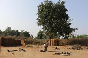 Dorf im das Norden von Benin mit das Name Kale. das Stammes- Menschen haben ihr besitzen Sprache und Leben von Landwirtschaft. viele Häuser sind Schlamm Häuser. foto