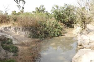 wenig Fluss im das Norden von Benin foto