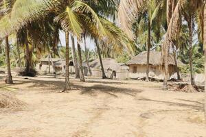 Fischer Dorf beim das Strand von großartig Papa, Benin foto