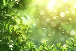 frisch gesund Grün bio Hintergrund mit verschwommen Laub und Sonnenlicht foto