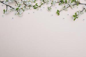 Foto von Frühling Weiß Kirsche blühen Baum auf Pastell- Hintergrund. Aussicht von über, eben legen, Kopieren Raum. Frühling und Sommer- Hintergrund.