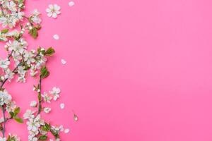 Foto von Frühling Weiß Kirsche blühen Baum auf Rosa Hintergrund. Aussicht von über, eben legen, Kopieren Raum. Frühling und Sommer- Hintergrund