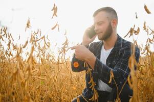 ein süß Farmer ist Stehen im ein Sojabohne Feld und reden auf das Telefon mit seine Geschäft Partner foto