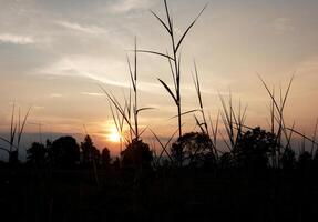 spektakulär Sonnenuntergang über, Orange Sonne steigend oben Über das Horizont foto