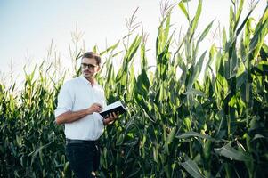 Agronom hält Tablette berühren Pad Computer im das Mais Feld und Prüfung Pflanzen Vor Ernte. Landwirtschaft Konzept. landwirtschaftlich Ingenieur Stehen im ein Mais Feld mit ein Tablette im Sommer. foto