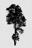Baumsilhouette auf transparentem Hintergrund mit Beschneidungspfad und Alpha foto