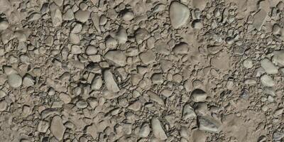 Fluss Kieselstein im trocken Schlamm Textur Hintergrund foto