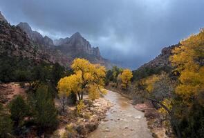 Zion Schlucht Herbst foto