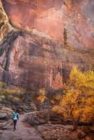 Zion Echo Schlucht fallen Farben foto