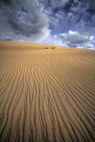 Vertikel Sand Dünen foto