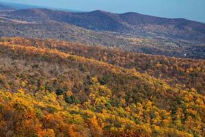 Herbst beim Shenadoah National Park foto