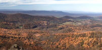 Herbst beim Shenadoah National Park foto