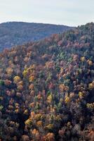 Herbst von Blau Grat Allee foto