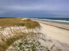 Kap hatteras Strand foto