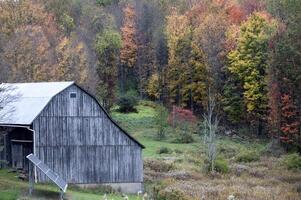 Pennsylvania fallen Farben foto