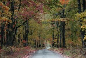 Pennsylvania fallen Farben foto