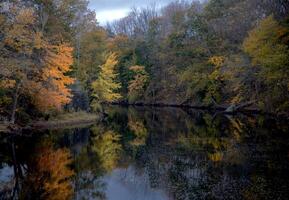 Neu Hampshire fallen Farben foto