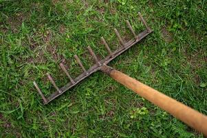 Garten Rechen auf Grün Gras im das Garten. selektiv Fokus. foto