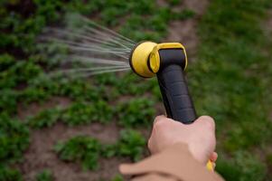 Gärtner Bewässerung das Garten mit ein Schlauch, Nahansicht foto