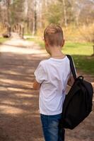 zurück Aussicht von ein Junge mit Rucksack Gehen auf ein Pfad im das Park foto