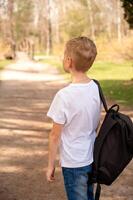 zurück Aussicht von ein Junge mit Rucksack Gehen auf ein Pfad im das Park foto