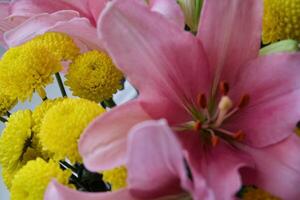 Gelb Blumen Chrysantheme foto