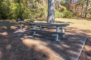 Picknick Bereich im das Park foto