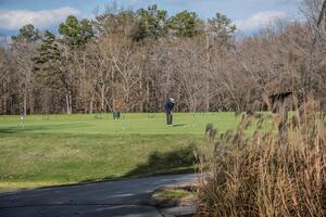 Golfspieler Putten beim ein Golf Kurs foto