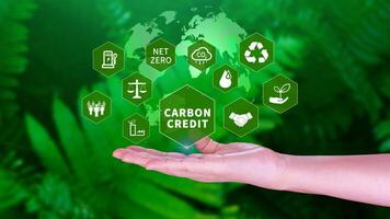 Grün Energie, Kohlenstoff Anerkennung Markt Konzept, Geschäftsmann halten Kohlenstoff Anerkennung Symbol, Netz null, Grün Energie Symbol. Kohlenstoff neutral im Industrie Netz Null Emission Öko Energie. foto
