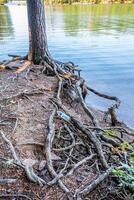 Plastik Wasser Flasche verworfen foto