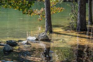 überflutet Küste beim das See foto