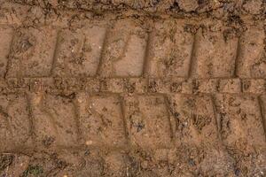 Bulldozer Spuren im das Schlamm Nahansicht foto