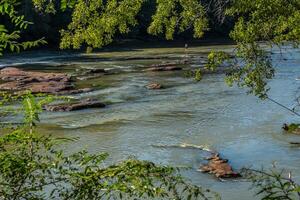 Angeln im Fluss foto