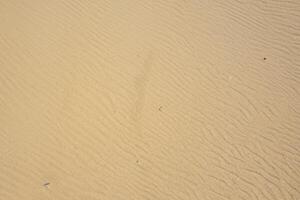 Horizont Oase Antenne Gelassenheit erfasst schön Strand Sand von über, ein still Tapisserie von Küsten Schönheit foto