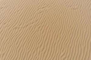 Horizont Oase Antenne Gelassenheit erfasst schön Strand Sand von über, ein still Tapisserie von Küsten Schönheit foto