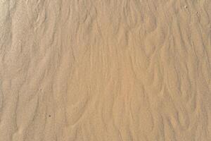 Horizont Oase Antenne Gelassenheit erfasst schön Strand Sand von über, ein still Tapisserie von Küsten Schönheit foto