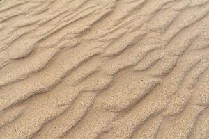 Horizont Oase Antenne Gelassenheit erfasst schön Strand Sand von über, ein still Tapisserie von Küsten Schönheit foto