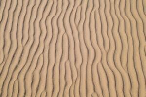 Horizont Oase Antenne Gelassenheit erfasst schön Strand Sand von über, ein still Tapisserie von Küsten Schönheit foto