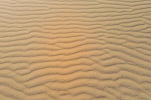 Horizont Oase Antenne Gelassenheit erfasst schön Strand Sand von über, ein still Tapisserie von Küsten Schönheit foto